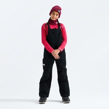 The North Face Freedom Insulated Bib Snow Pants 2