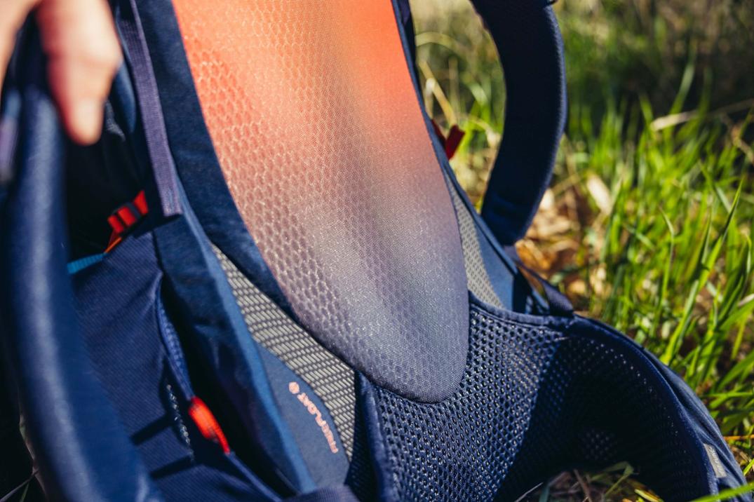 Location Image for Paragon 50 Pack - Men's