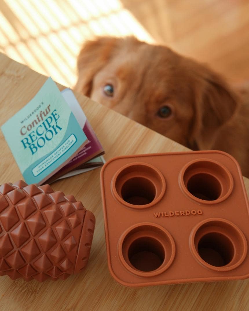 Location Image for The Conifur Enrichment Toy