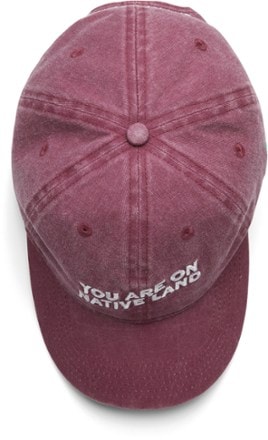 Urban Native Era You Are On Native Land Everyday Cap 3