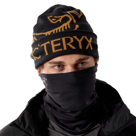 Arc'teryx Rho Neck Gaiter Long 1