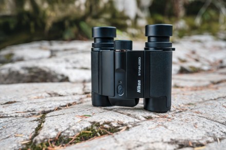 Location Image for Stabilized 12 x 25 S Binoculars