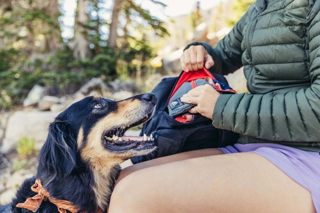 Location Image for Nano 30 Daypack