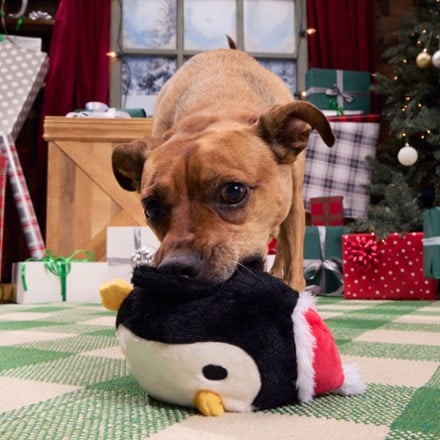 Bark South Pole Santa Dog Toy 3