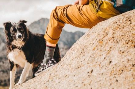 Location Image for Hiker Micro Crew Cushion Socks - Men's