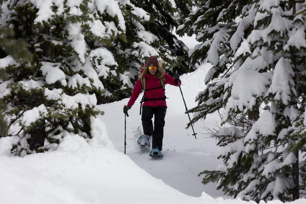Location Image for Access Snowshoes - Women's