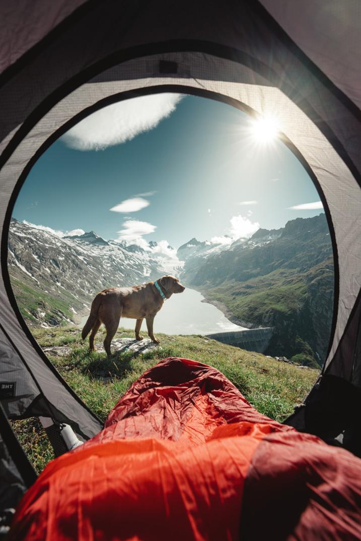 Location Image for Rope Reflective Collar