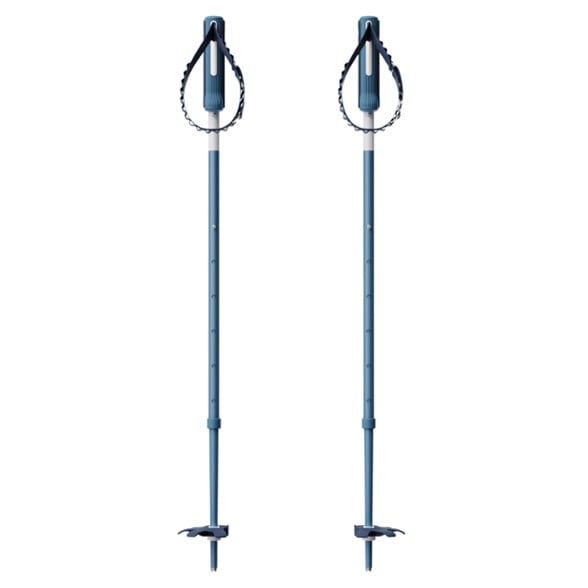 Detail Image of color Bluebird