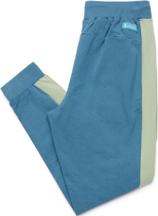 Cotopaxi Bandera Jogger Pants - Men's 4