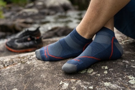 Darn Tough Light Hiker No Show Lightweight Hiking Socks - Men's 2