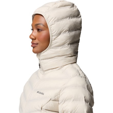 Columbia Terwilliger Trail Hooded Insulated Jacket - Women's 10