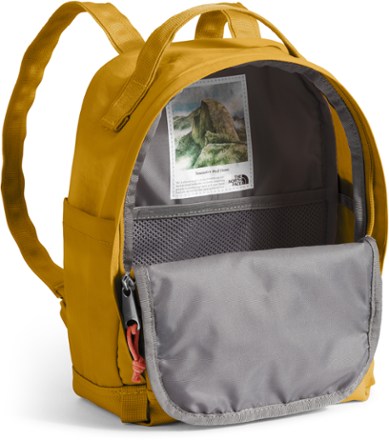 The North Face Berkeley Mini Pack 3