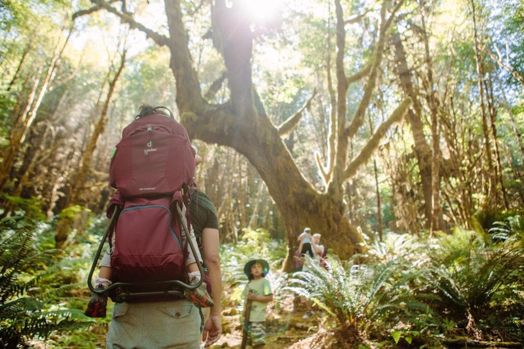 Location Image for Kid Comfort Child Carrier