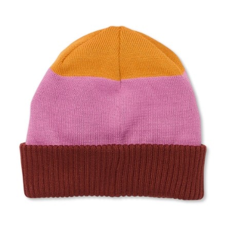 Cotopaxi Alto Beanie 1