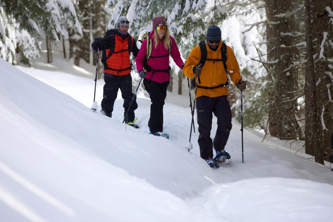 Location Image for Access Snowshoes - Women's