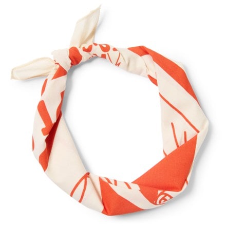 REI Co-op Graphic Bandana 4