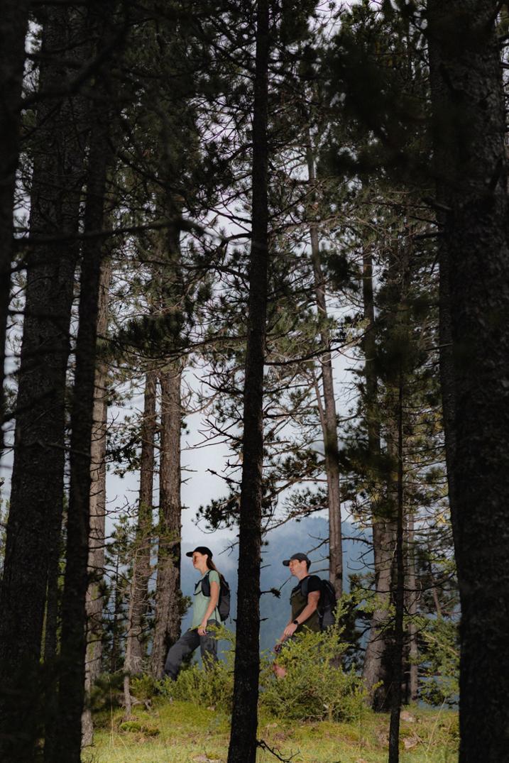 Location Image for Merino 125 Cool-Lite Sphere III T-Shirt - Women's