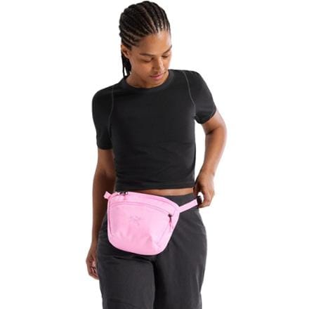 Arc'teryx Mantis 2 Waist Pack 2