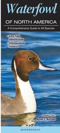 Quick Reference Publishing Waterfowl of North America 0