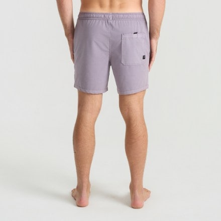 Roark Shorey Trunks - Men's 1