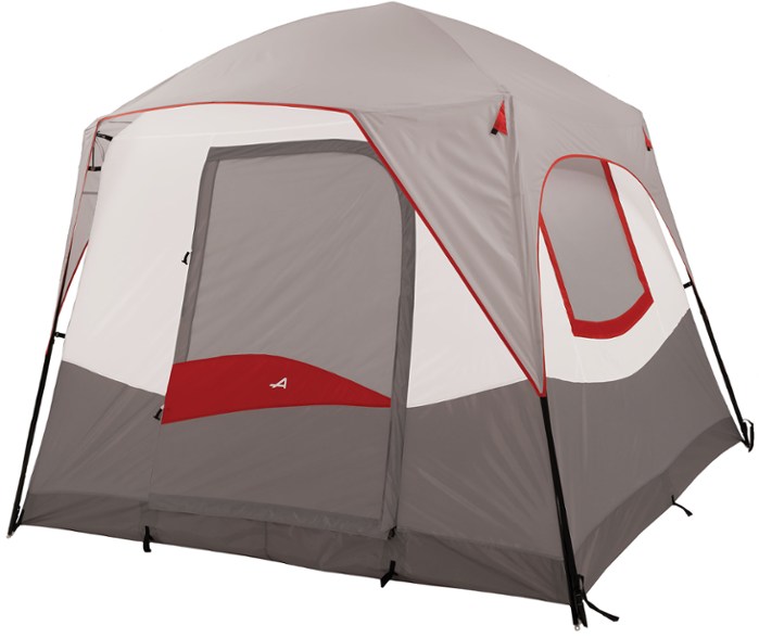 Mountainsmith cottonwood 6p tent Clearance