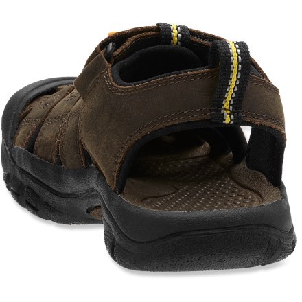 Back View (Dark Brown)