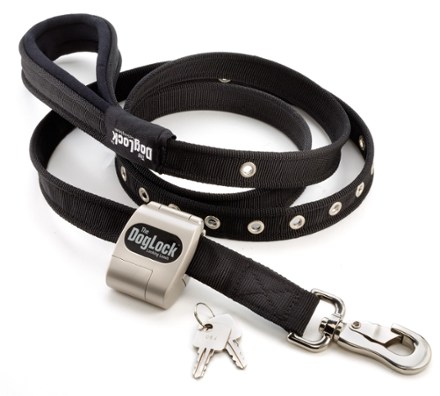 lockable dog collar