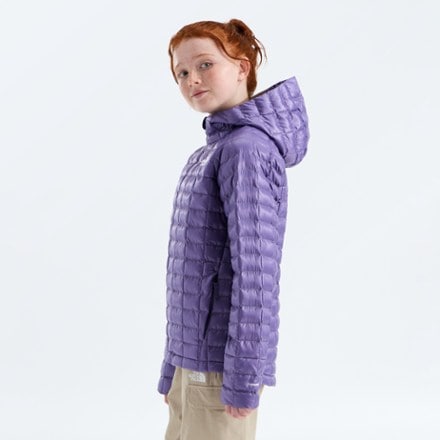 The North Face ThermoBall Hooded Jacket - Kids' 3