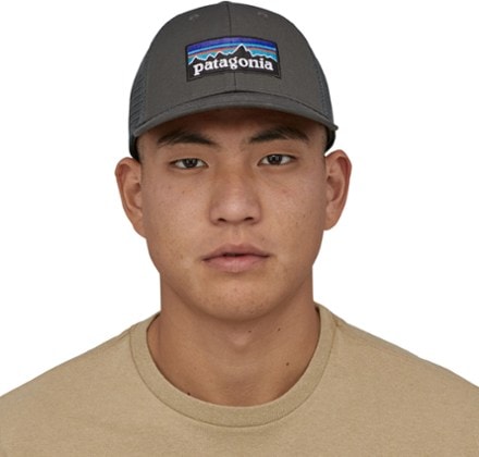 Patagonia P-6 Logo LoPro Trucker Hat 1