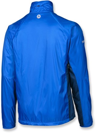 Back View (Dark Azure/Dark Ink)