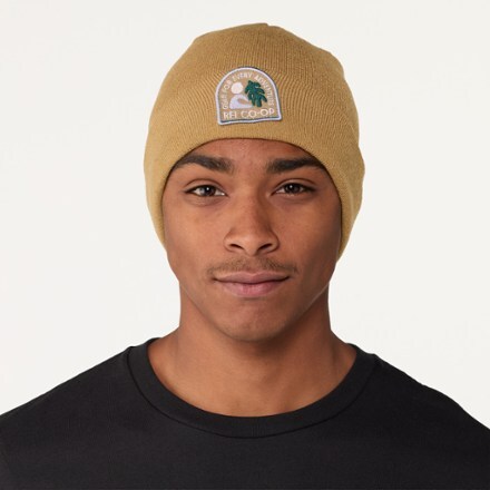 REI Co-op Graphic Cuff Beanie 1