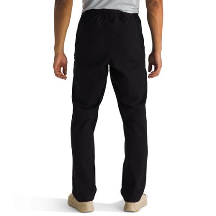 The North Face Beta Utility Belted Pants - Men's 1