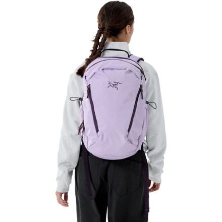 Arc'teryx Mantis 26 Pack | REI Co-op