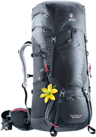 deuter hiking carrier