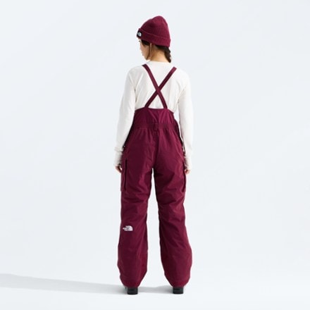 The North Face Freedom Insulated Bib Snow Pants - Women's 1