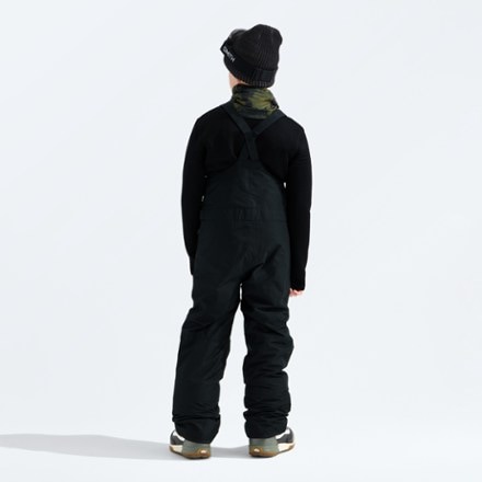 The North Face Freedom Insulated Bib Snow Pants 1