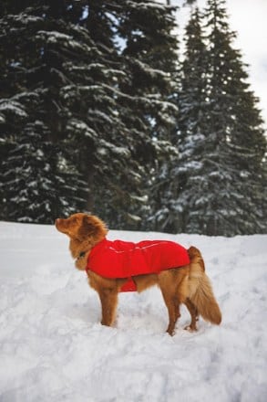 Ruffwear Powder Hound Waterproof Dog Vest 7
