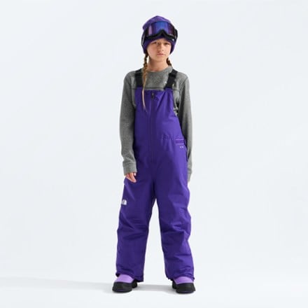 The North Face Freedom Insulated Bib Snow Pants 0