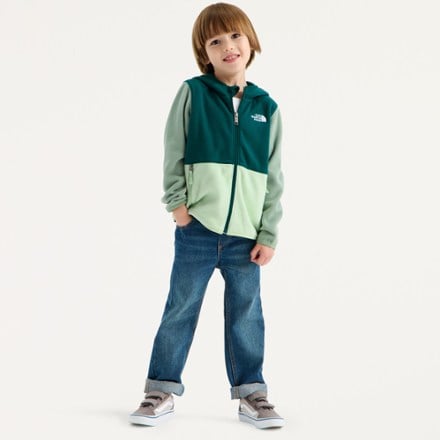 The North Face Glacier Full-Zip Hoodie - Toddlers' 0
