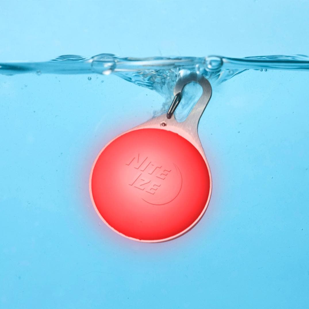 Location Image for SpotLit Splash Waterproof Rechargeable Collar Light - Disc-O Tech
