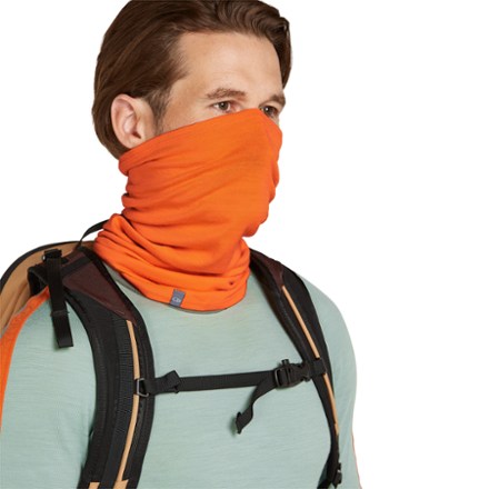 Icebreaker Merino 200 Oasis Flexi Chute 2