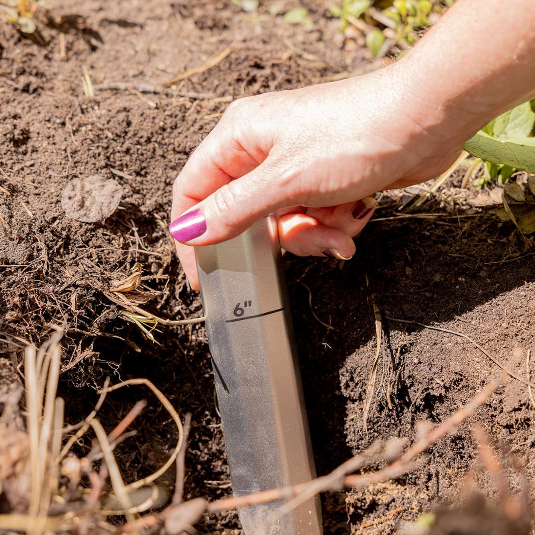 Location Image for Shovel