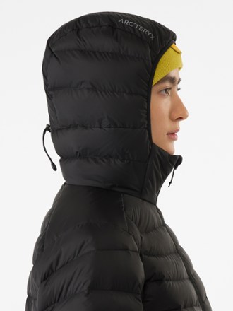 Arc'teryx Cerium Down Hoodie - Women's 4