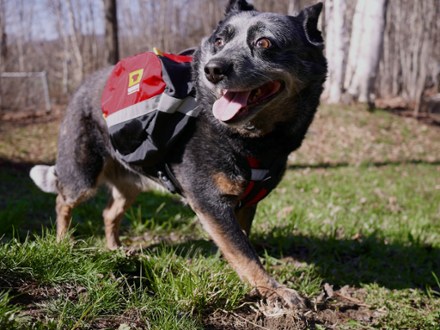 In-Use (Heritage Red)
