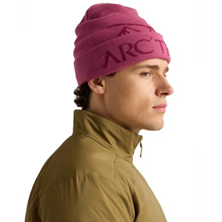 Arc'teryx Bird Word Toque | REI Co-op