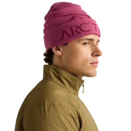 Arc'teryx Bird Word Toque 3