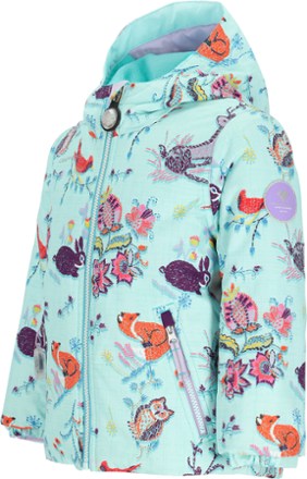 Obermeyer Ashor Insulated Jacket - Toddlers' 5