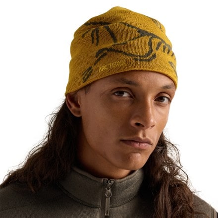 Arc'teryx Bird Head Toque Beanie 1