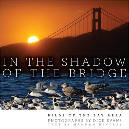 Heyday In The Shadow Of The Bridge: Birds of the Bay Area 0