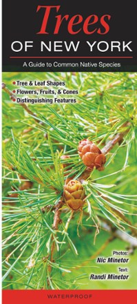 Quick Reference Publishing Trees of New York 0